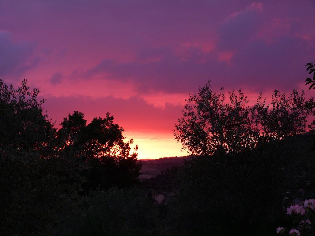 Agriturismo Apparita Montecastelli Pisano Экстерьер фото