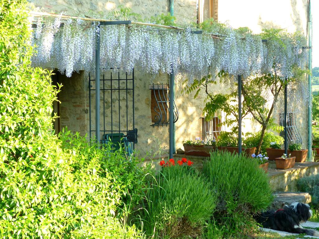 Agriturismo Apparita Montecastelli Pisano Экстерьер фото
